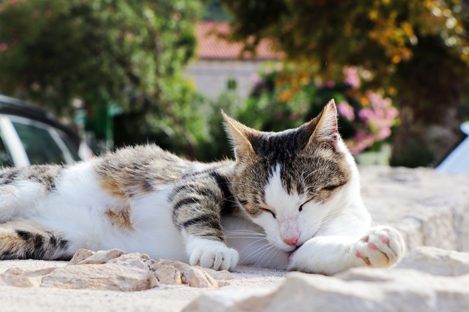 7 Things to Do Before Bed for Deeper, More Restful Sleep
